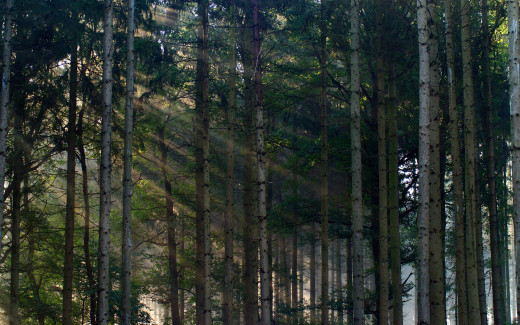 497964 (a): :2560x1600